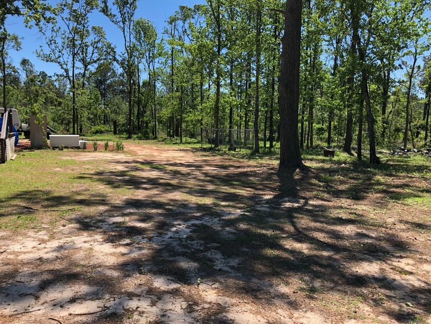 Pat Thomas Park